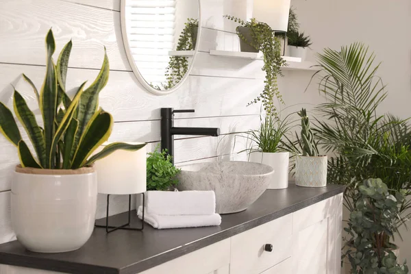 Stylish Bathroom Interior Vessel Sink Beautiful Plants — Stock Photo, Image