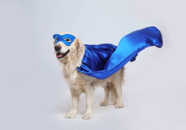 Mavi süper kahraman pelerinli sevimli köpek ve açık gri arka planda maske