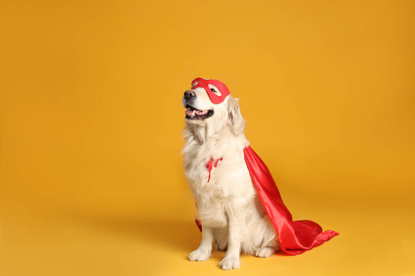 Adorable dog in red superhero cape and mask on yellow background, space for text