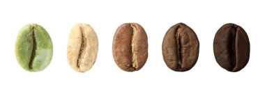 Beyaz arka planda kahve çekirdeği kızartma aşamaları, kolaj. Pankart tasarımı