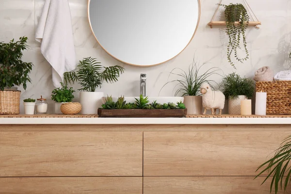 Counter Sink Many Different Houseplants White Marble Wall — Stock Photo, Image