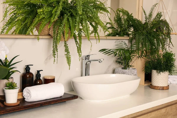 Counter Sink Many Different Houseplants White Marble Wall — Stock Photo, Image