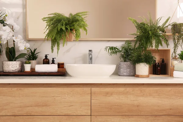 Counter Sink Many Different Houseplants White Marble Wall — Stock Photo, Image