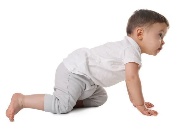 Lindo Bebé Arrastrándose Sobre Fondo Blanco — Foto de Stock