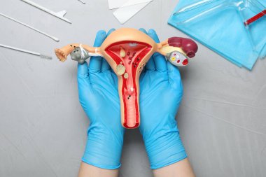 Açık gri masada anatomik rahim modeli olan jinekolog.