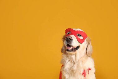 Kırmızı süper kahraman pelerinli sevimli köpek ve sarı arka planda maske, metin için yer
