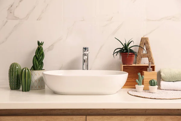 Vessel Sink Different Houseplants Countertop Bathroom — Stock Photo, Image