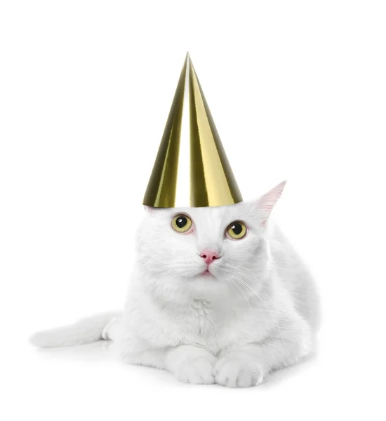 Beyaz Zemin Üzerine Parti Şapkası Ile Sevimli Kedi — Stok fotoğraf