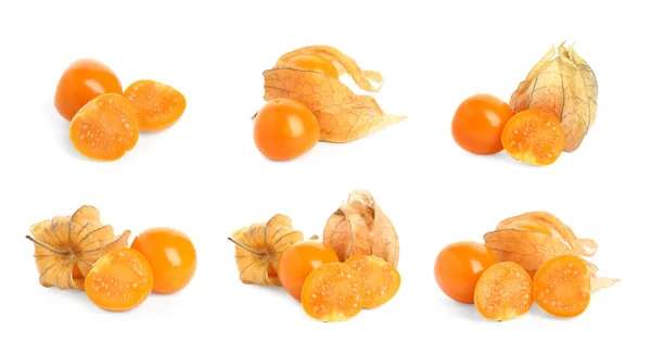 Set Tasty Ripe Physalis Fruits White Background — Stock Photo, Image