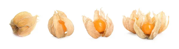 Set Tasty Ripe Physalis Fruits White Background Banner Design — Stock Photo, Image