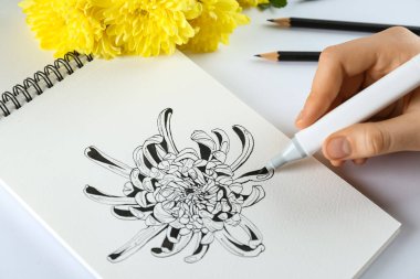Beyaz masadaki çizim defterine kasımpatı çizen kadın, yakın plan.