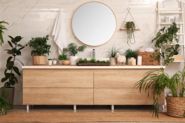 Banyo yeşil ev bitkileriyle süslenmiş. İç tasarım