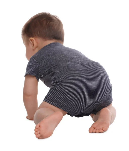 Bonito Bebê Rastejando Fundo Branco Visão Traseira — Fotografia de Stock