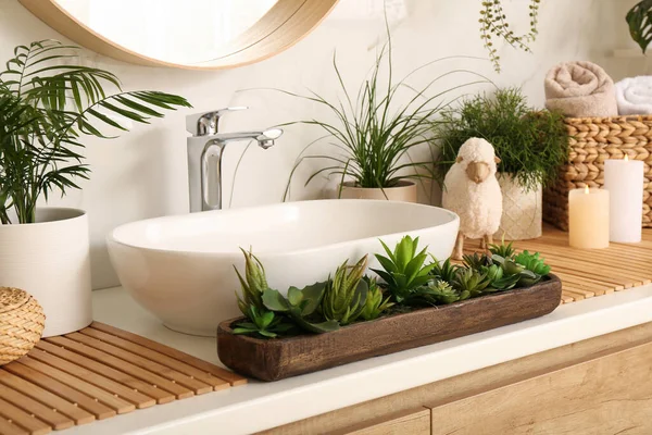 Counter Sink Many Different Houseplants White Marble Wall — Stock Photo, Image