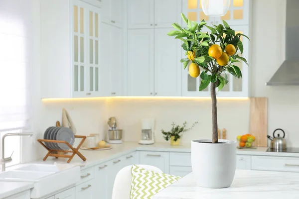 Limão Vaso Com Frutas Maduras Bancada Cozinha Espaço Para Texto — Fotografia de Stock