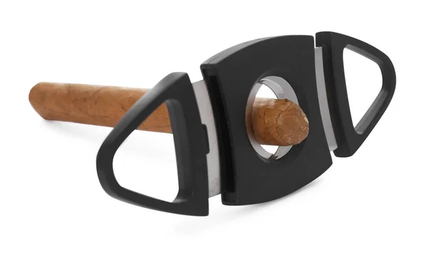 Cigare Avec Coupe Guillotine Sur Fond Blanc — Photo