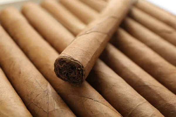 Närbild Många Cigarrer Tobaksrökning — Stockfoto
