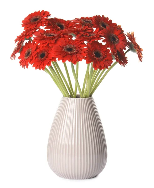 Buquê Belas Flores Vermelhas Gerbera Jarro Cerâmica Fundo Branco — Fotografia de Stock