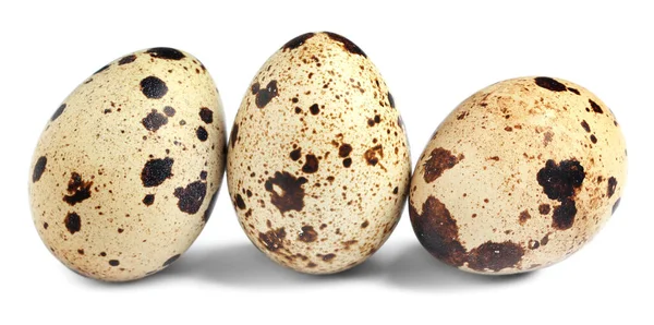 白い背景に3つの美しいウズラの卵 — ストック写真
