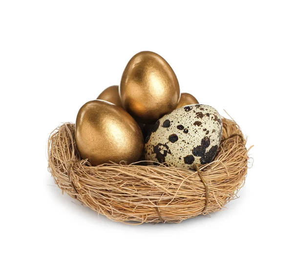 Nest Met Gouden Eieren Kwartel Een Witte Achtergrond — Stockfoto