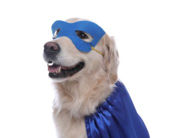 Mavi süper kahraman pelerinli ve maskeli sevimli köpek beyaz arka planda