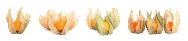 Set Tasty Ripe Physalis Fruits White Background Banner Design — Stock Photo, Image
