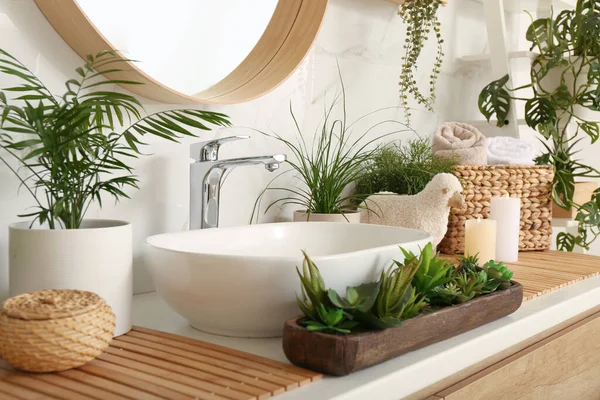 Counter Sink Many Different Houseplants White Marble Wall — Stock Photo, Image