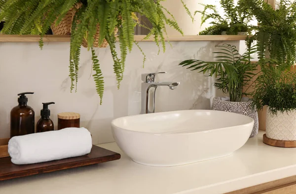 Counter Sink Many Different Houseplants White Marble Wall — Stock Photo, Image
