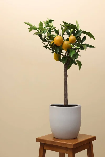 Nápad Minimalistický Design Interiéru Malý Kastrol Citronu Ovocem Dřevěném Stole — Stock fotografie