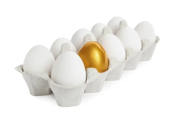 Картон Золотым Яйцом Обычные Белом Фоне — стоковое фото