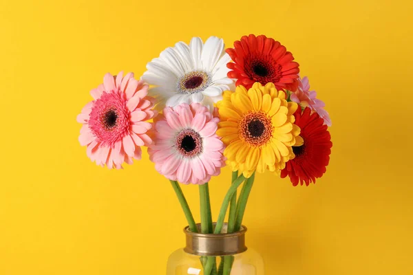 Ramillete Hermosas Flores Gerberas Coloridas Jarrón Sobre Fondo Amarillo — Foto de Stock