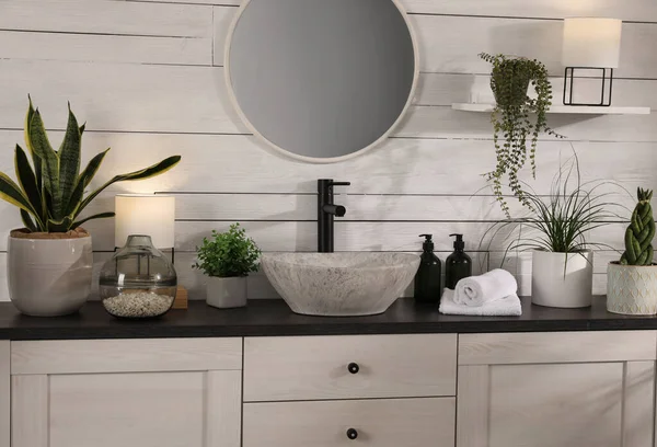 Elegante Bagno Interno Con Lavandino Del Vaso Belle Piante — Foto Stock