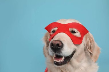 Açık mavi arka planda kırmızı süper kahraman maskeli sevimli köpek, metin için boşluk
