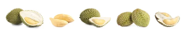 Set Con Durians Maduros Sobre Fondo Blanco Diseño Banner — Foto de Stock