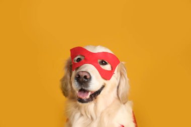 Sarı arka planda süper kahraman maskeli sevimli köpek.