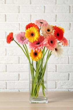 Masanın üzerinde beyaz tuğla duvara karşı vazoda duran güzel renkli Gerbera çiçekleri.