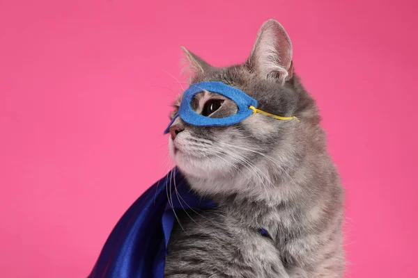 Adorable Cat Blue Superhero Cape Mask Pink Background — Stock Photo, Image