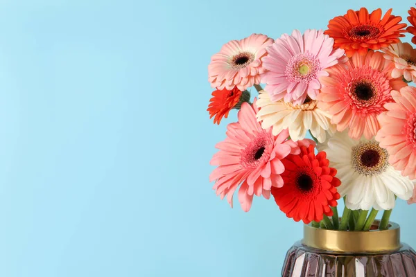 Açık Mavi Arka Planda Vazoda Güzel Renkli Gerbera Çiçekleri Metin — Stok fotoğraf