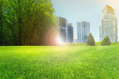 Güneşli bir günde yeşil çimenli ve şehir manzaralı güzel bir park manzarası