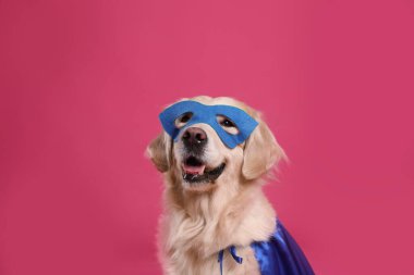 Mavi süper kahraman pelerinli ve pembe maskeli sevimli bir köpek.