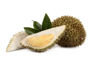 Beyaz arka planda kesim ve tüm olgun durianlar