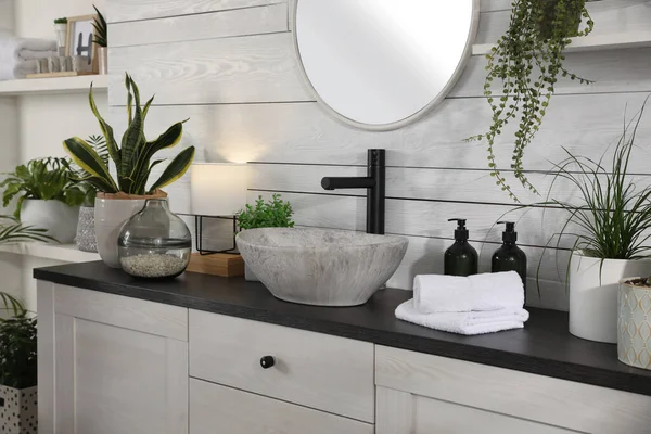 Stylish Bathroom Interior Vessel Sink Beautiful Plants — Stock Photo, Image