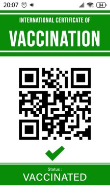 QR kodlu uluslararası aşı sertifikası, resimleme