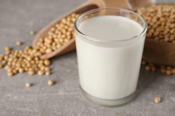 Glass Fresh Soy Milk Grains Grey Table Closeup — Stock Photo, Image