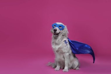 Mavi süper kahraman pelerinli sevimli köpek ve pembe arka planda maske, mesaj için yer