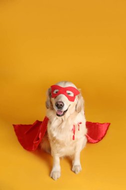 Sarı arka planda kırmızı süper kahraman pelerinli ve maskeli sevimli bir köpek.