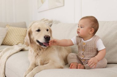 Evdeki kanepede sevimli köpeği olan şirin bir bebek.