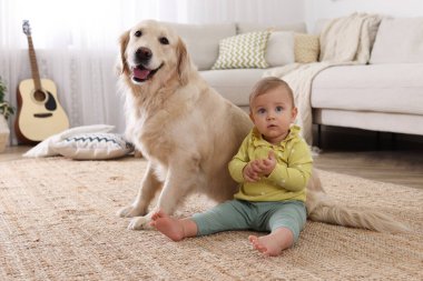 Evinde yerde sevimli bir köpeği olan şirin bir bebek.