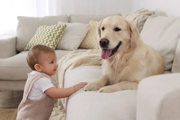 Bebé Bonito Com Cão Adorável Casa — Fotografia de Stock
