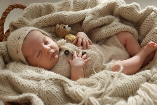 Adorable Bebé Recién Nacido Con Oso Juguete Durmiendo Canasta Mimbre — Foto de Stock